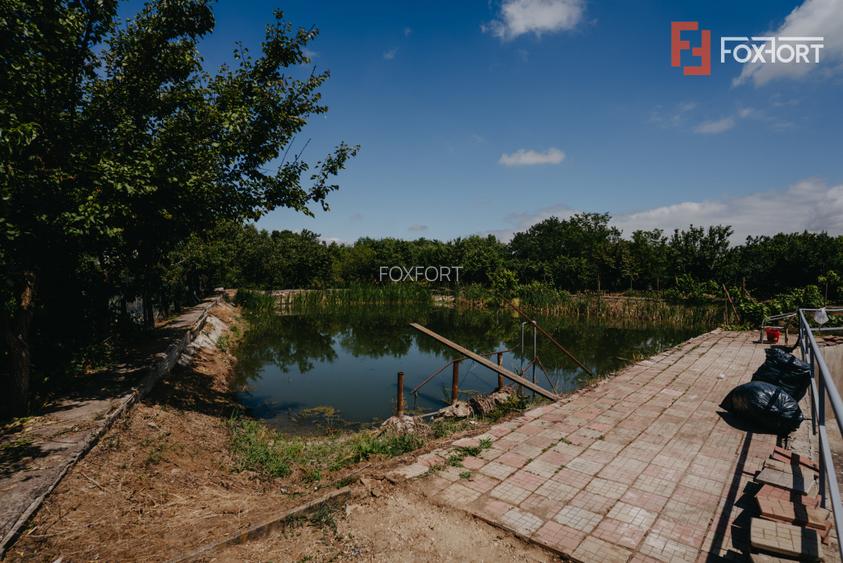 Casa individuala cu 8 camere si lac cu pesti, teren 4424 mp - Jebel - 30