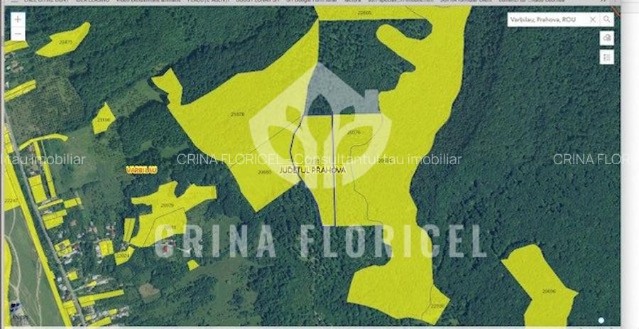 Vanzare PADURE - 3 HA - Varbilau, jud Prahova - 3