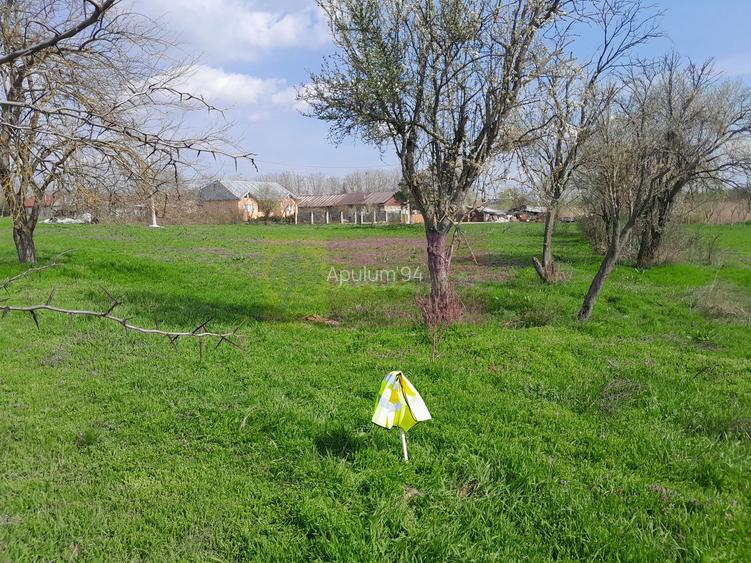 DE VANZARE TEREN 3400 MP IN SAT PODU ILFOVAT / COM BUTURUGENI (GR) - 32