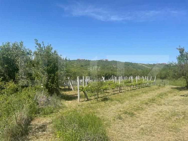 Proprietate cu casa si teren in Oradea - 7