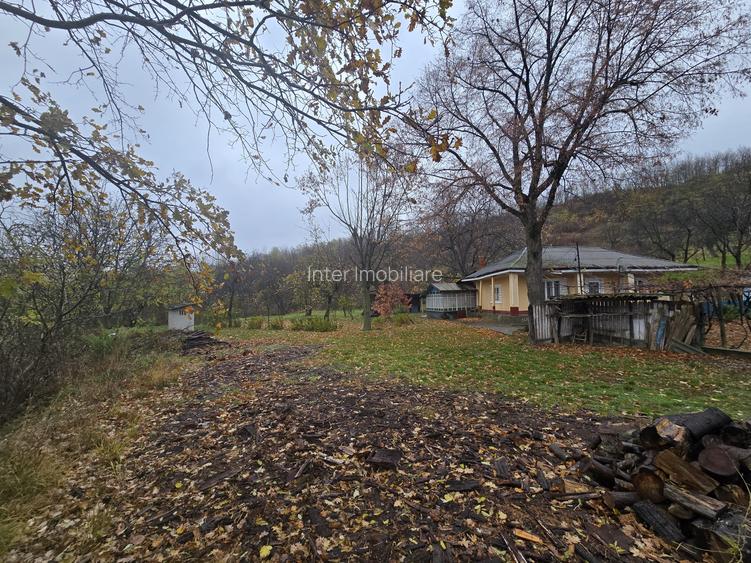 Casa batraneasca cu teren 1000mp - 6