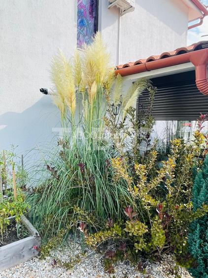 Casa moderna in Selimbar, 4 camere, renovata si gata de mutare - 26