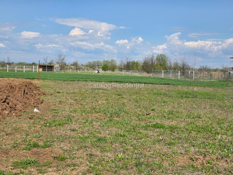 Teren de vanzare in Ciolpani - 7