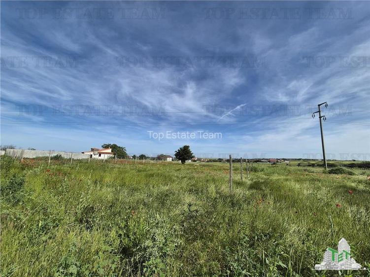 Teren intravilan Techirghiol - 5