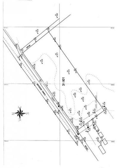 Vanzare teren 10.000mp Cornetu- Mihailesti - 3