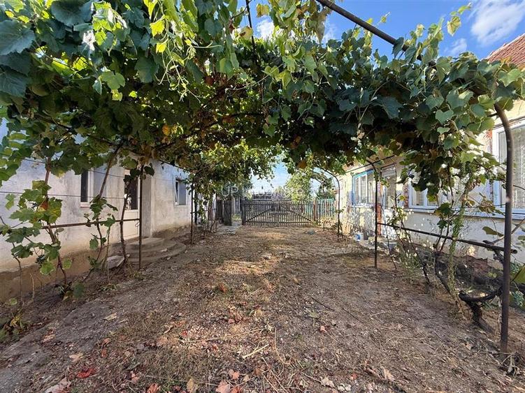 CASA CU TEREN 1500 MP | CHERESIG - 5