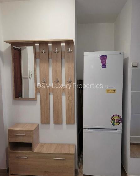 Inchiriere garsoniera Tineretului Metrou - 4