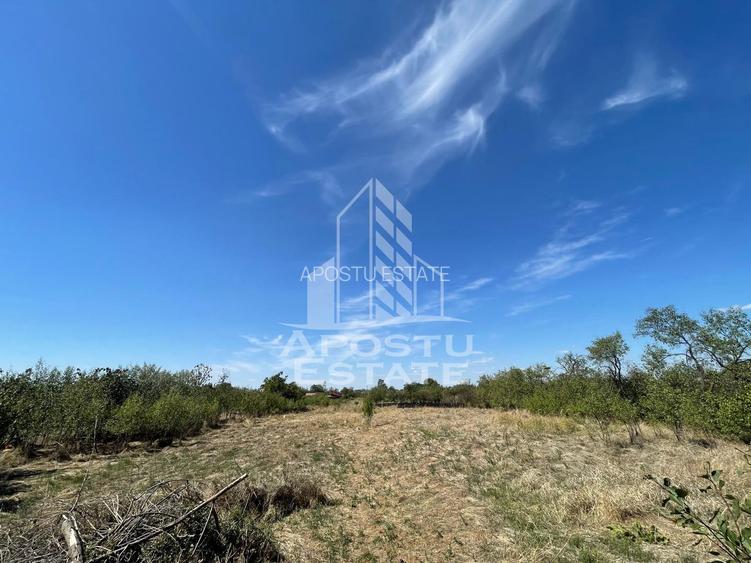 Teren 1680 mp, de vanzare, Seceani, 26 Km de Timisoara, COMISION 0%. - 2