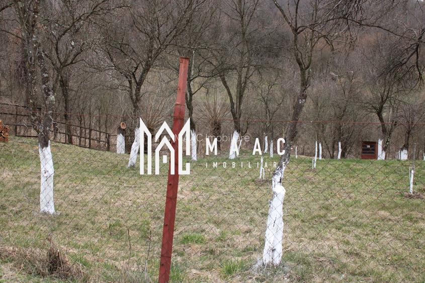 Pământ I Fereastră către Eternitate în  Transilvania - 14