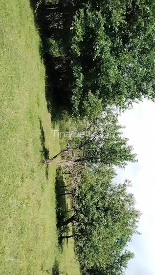 Teren extravilan de vânzare  comuna Șișești sat Șișești Maramures - 8