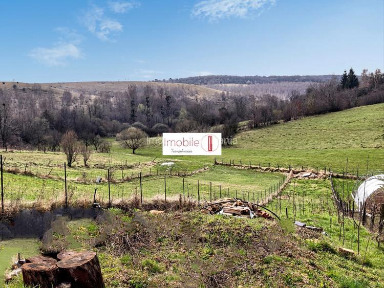 Casă modernă Feleacu | Panoramă | Teren generos - 6