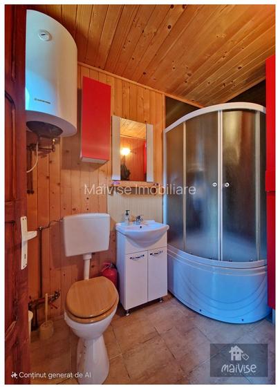 Casa de vacanta- Valea Bozomului, Brasov - 20