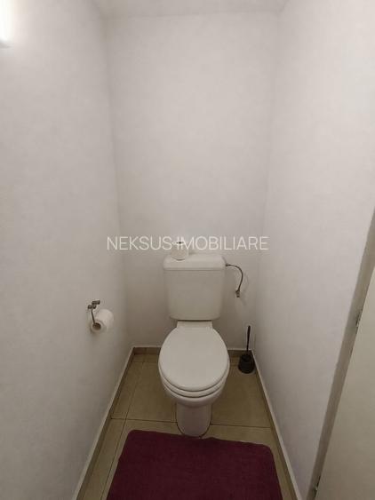 Casă de vanzare cu 4 camere 107 mpu pivnita anexe curte gradina Sebes - 10