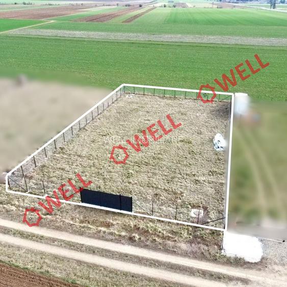 Teren intravilan de vânzare în Angheluș! - 3