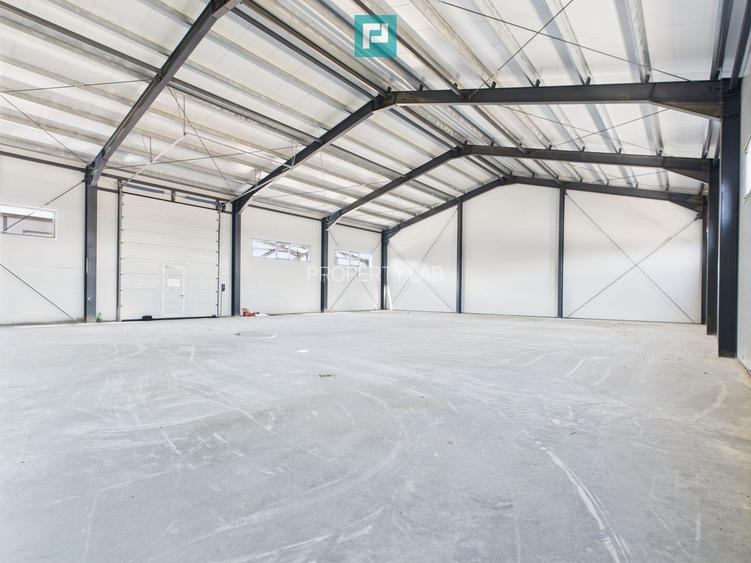 Hală industrială în zona Giarmata – Timiș - 3