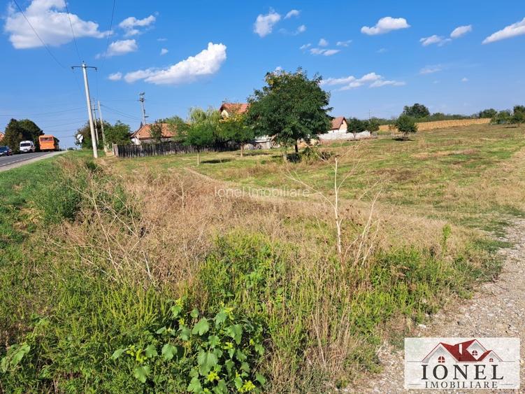 Teren intravilan de vanzare in Galda de Jos- Oiejdea - 2