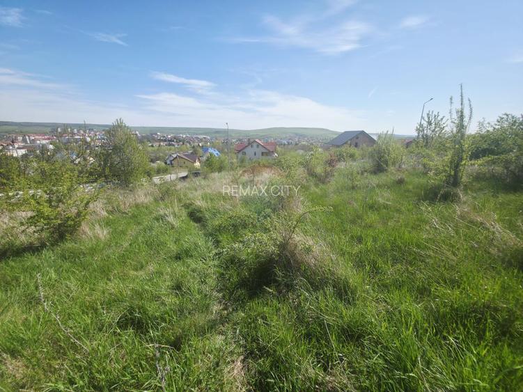 Teren 500mp Zona Fermelor - 8