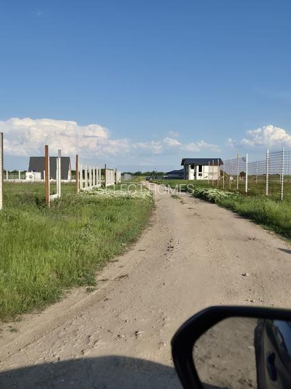 Teren Intravilan 497mp de Vanzare Padurisu *Calarasi* - 5