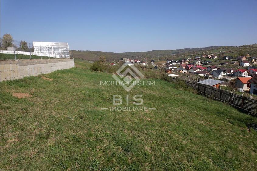 Teren de vanzare 10 ari - zona LEONI - 10