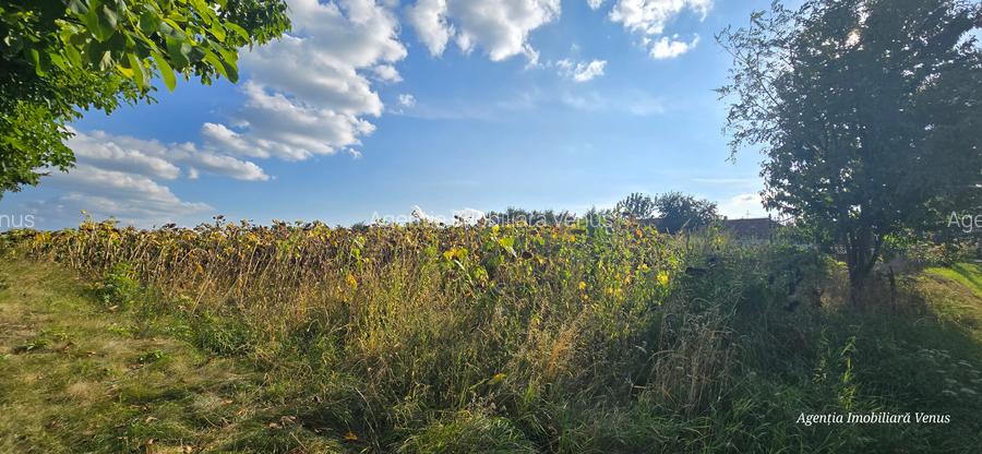 Teren cu suprafata de 3200mp la strada in Manastirea Doamnei - 2