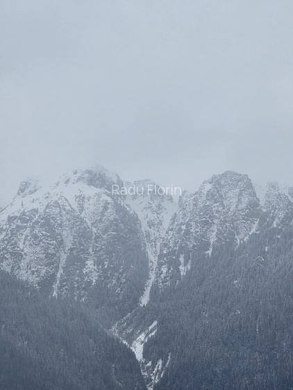 Loturi premium într-o comunitate restrânsă, cu vedere directă către Mt Bucegi - 4