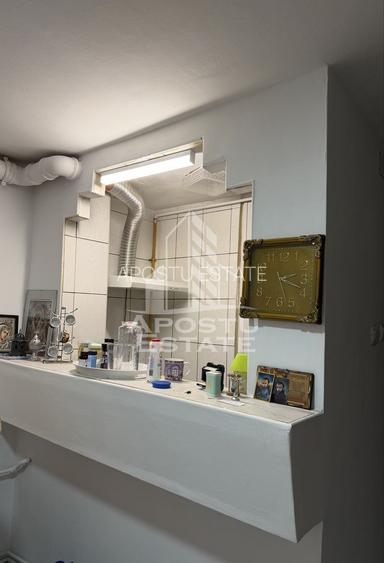 Apartament 3 camere, parter inalt, zona Lipovei, Timisoara, jud.Timis - 11