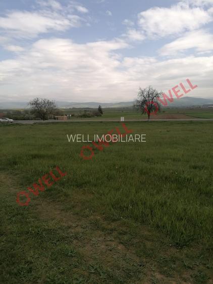 Teren intravilan de vânzare în Moacșa (Eresteghin)! - 4