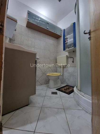 Vilă individuală - Vasile Lascăr - Dacia - 255mp utili - 29