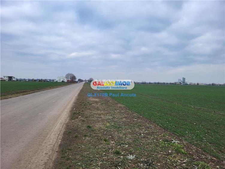 Teren Moara Vlasiei 65000 mp Industrial utilitati apropiere Nod A3 - 4
