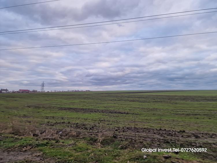 Corbu- Teren 2500mp la intrare in localitate pe dreapta