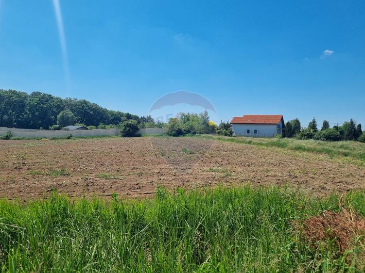 Teren 872,43 mp Snagov