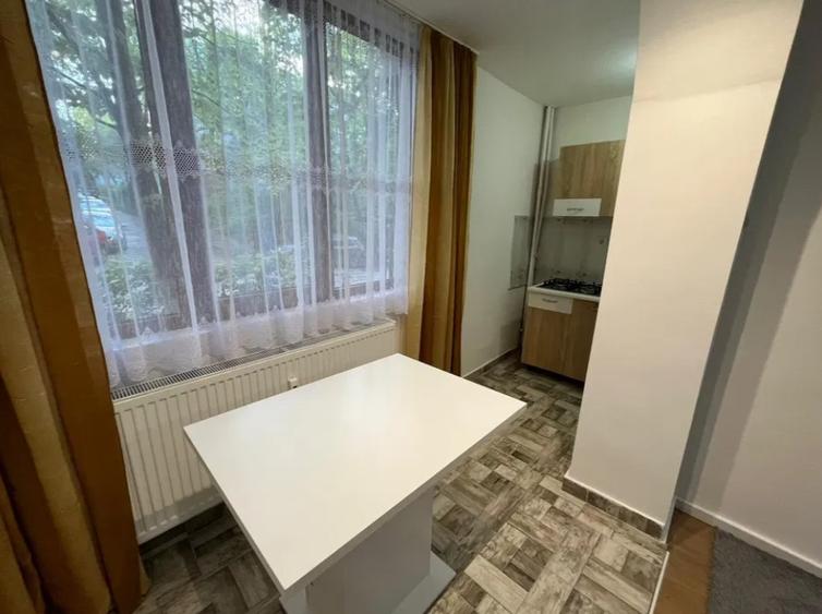 Apartament cu 1 camera in Tatarasi-Flora,la bulevard