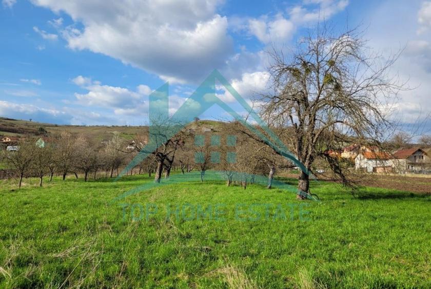EXCLUSIVITATE! Teren intravilan de vanzare in zona linistita, sat Vlaha!
