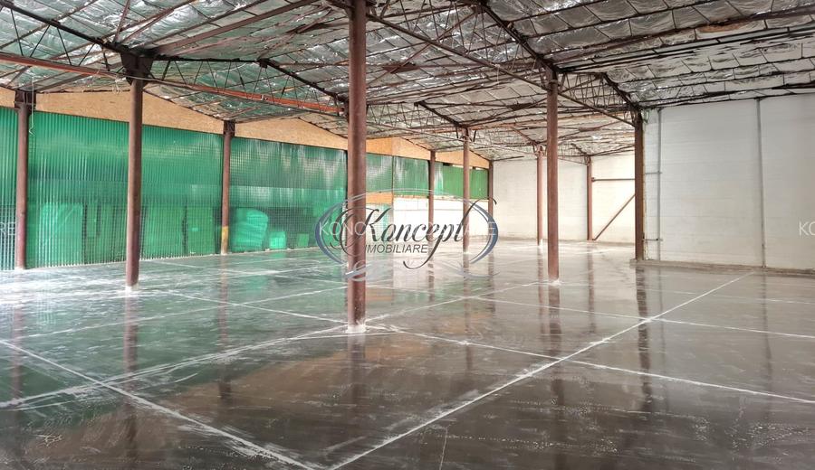 Hala ideala pentru productie sau logistica, pe Calea Baciului - 8