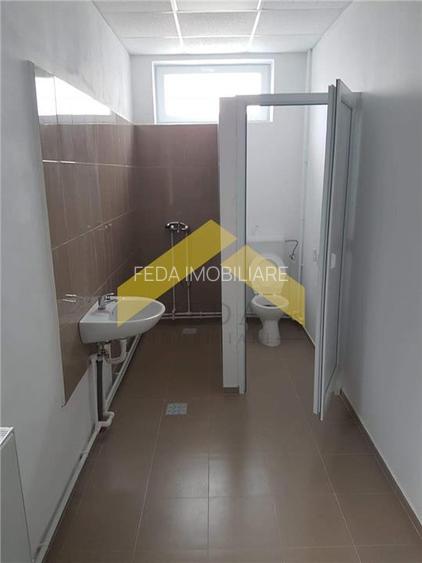 De vanzare doua hale pe un teren imprejmuit 9000 mp zona Gai - 7