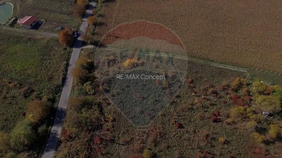 Teren Pădureni (Chinteni), intravilan, parcelabil - 5