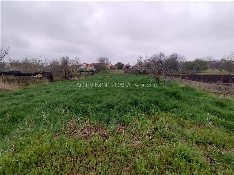 Iecea Mare - Timis, Casa cu Gradina, 1800mp Teren, Pret Negociabil - 4