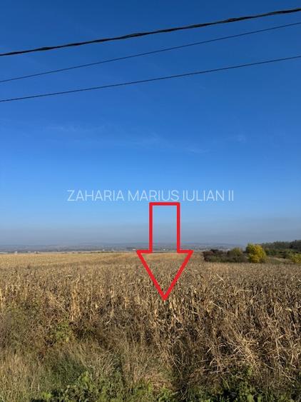 Teren 6.668 mp, de vanzare, loc. BOGDAN VODA, la E-85, com. Saucesti, jud. Bacau - 5