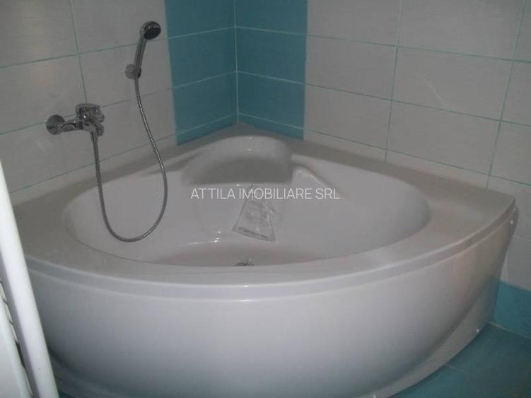 Dumbravita 2 camere 350 euro - 11