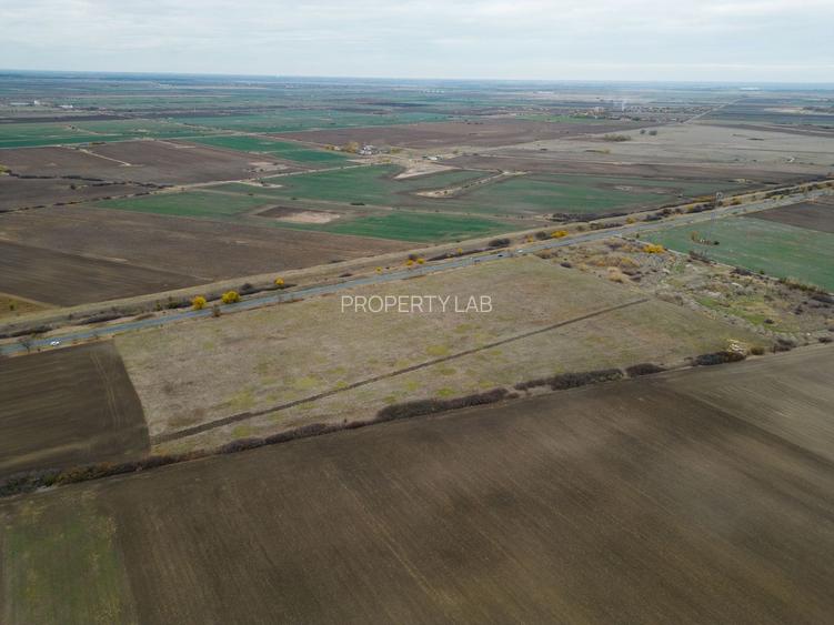 Teren 22.500 mp – Pecica, jud. Arad - 7