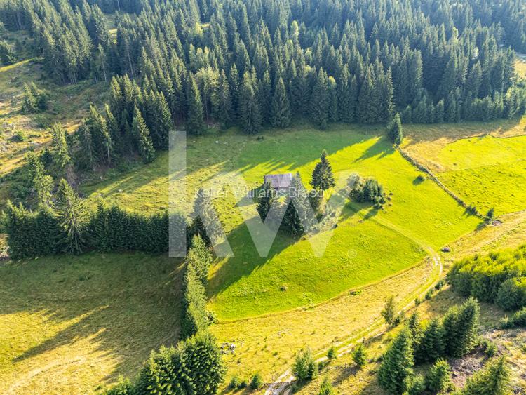 Teren Fundata, Brasov, intravilan, extravilan. COMISION 0% pret bun - 2