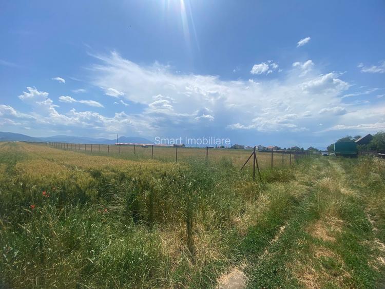 Teren  intravilan cu PUZ 30.000 mp Prejmer - 6