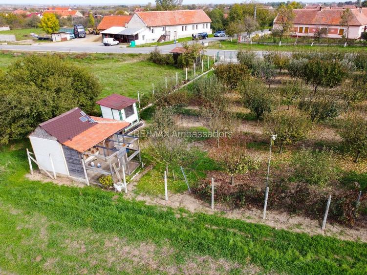 De vânzare teren cu livadă in Sârbova! - 10