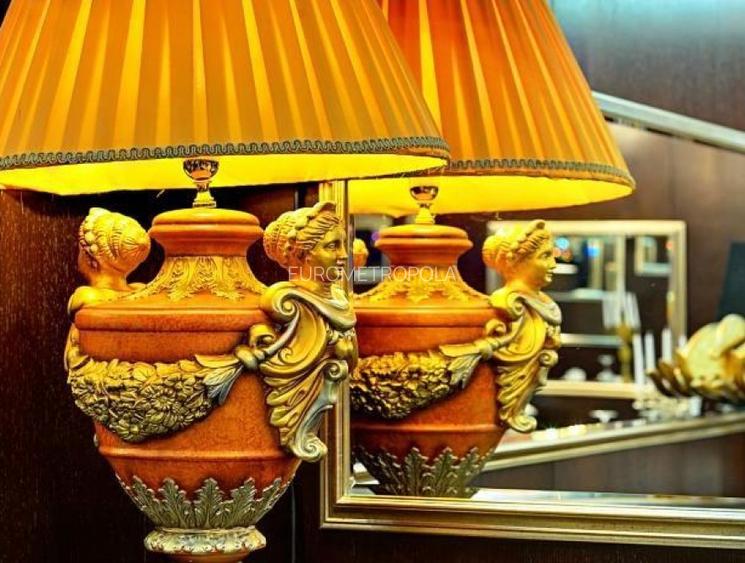 Proprietate impozanta cu  1000 mp teren Piata Romana - 7