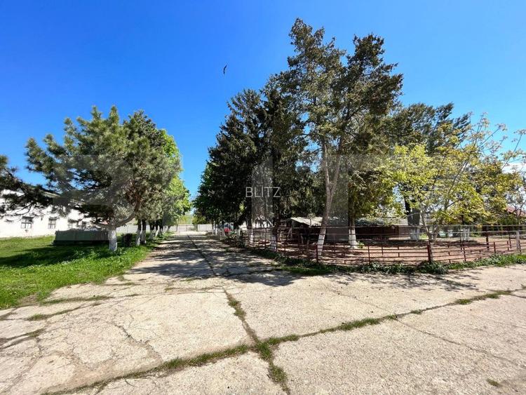 OPORTUNITATE! 8 hale de peste 16.000 mp, teren intravilan 4,5 ha, Bradesti - 7