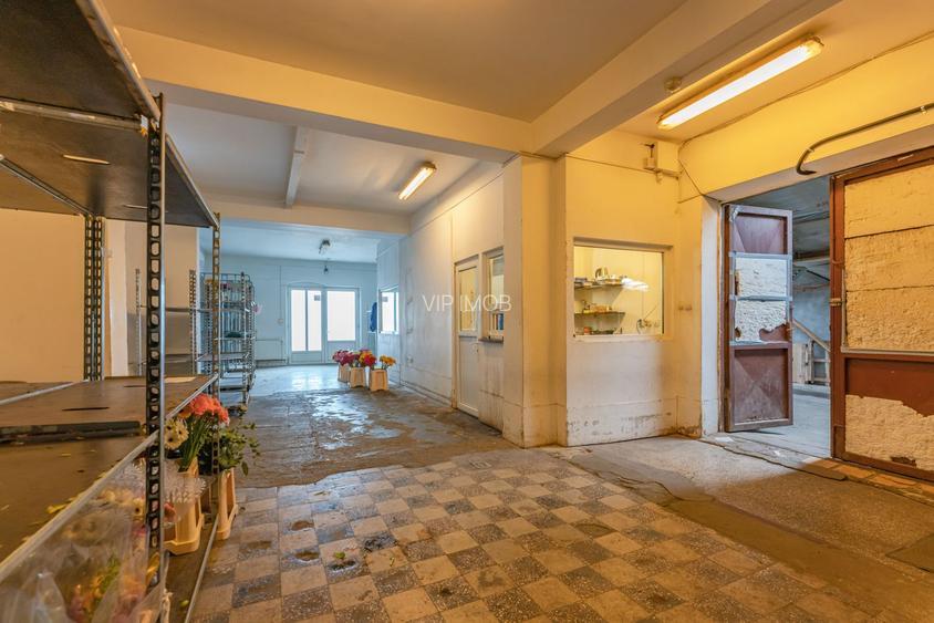 CASA BARTOLOMEU- sediu firma/ comercial/ servicii- zona circulata - 11