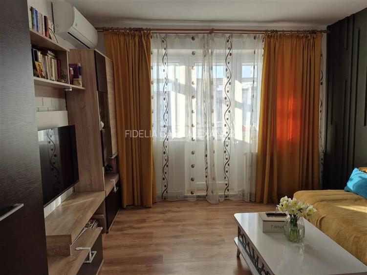 Apartament 3 camere de vanzare Alexandru cel Bun - 5