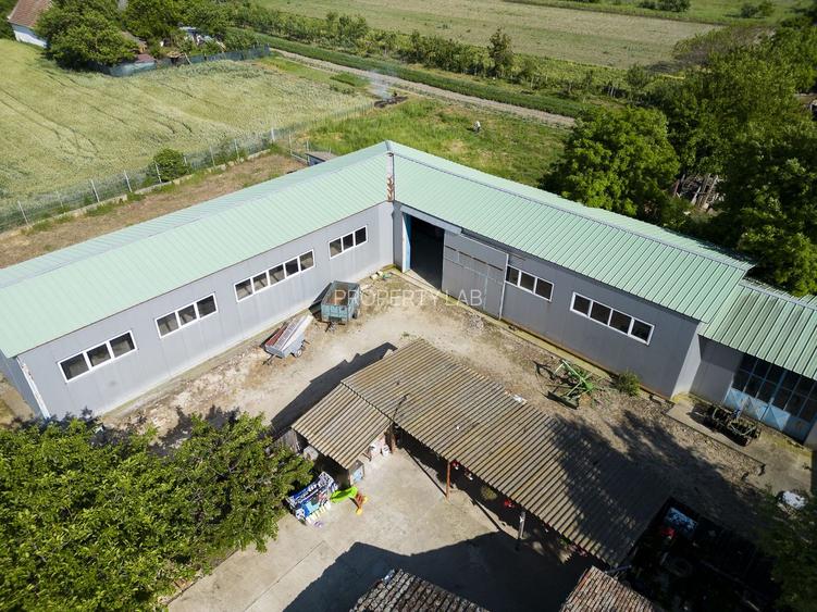 Clădire cu 5 camere cu teren și hală în Cenad - 22