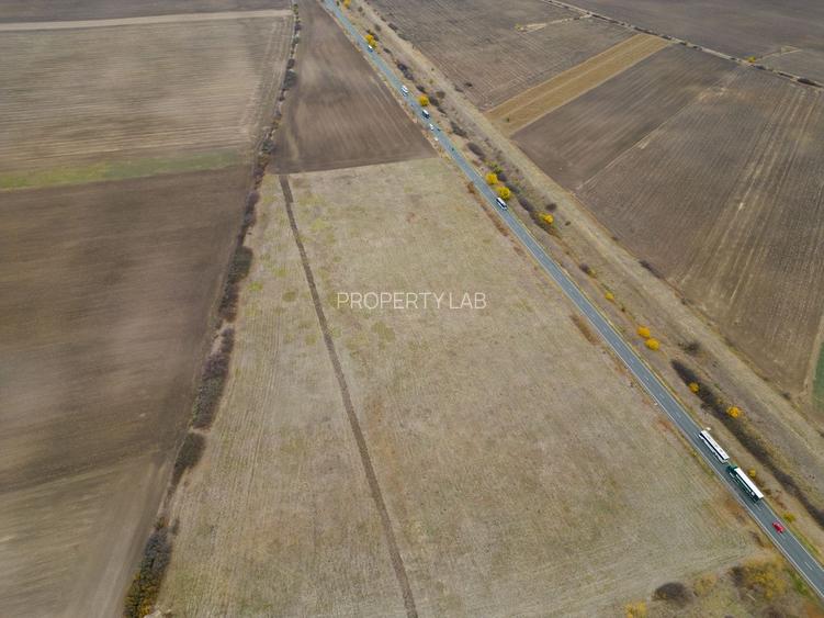 Teren 22.500 mp–Pecica, jud. Arad,Posibilitate PUZ - 8