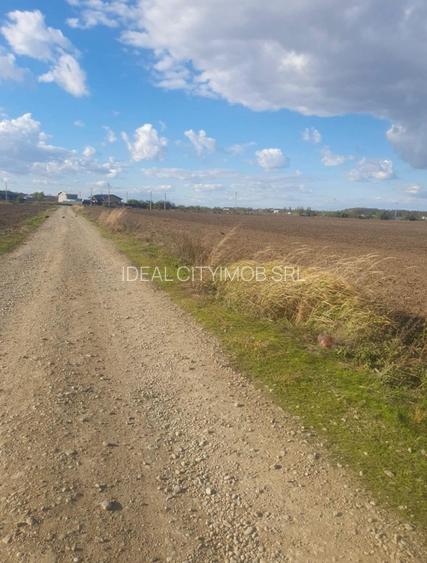 Teren intravilan 16.608 mp – 1 Decembrie, Ilfov | Deschidere 60 mp - 2